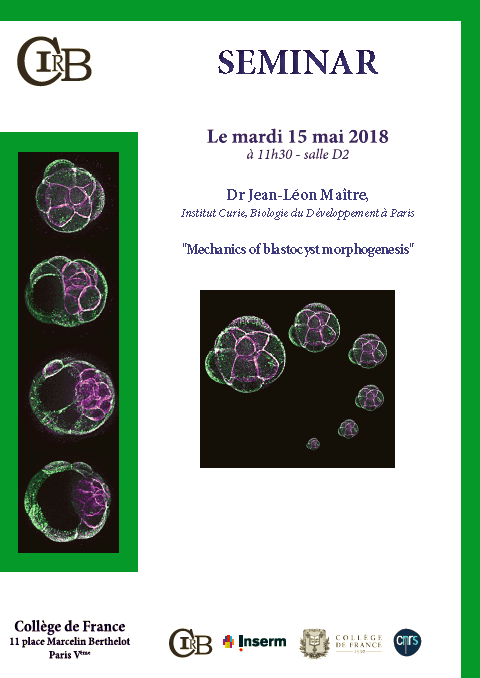 Mechanics of Bastocyst Morphogenesis.png