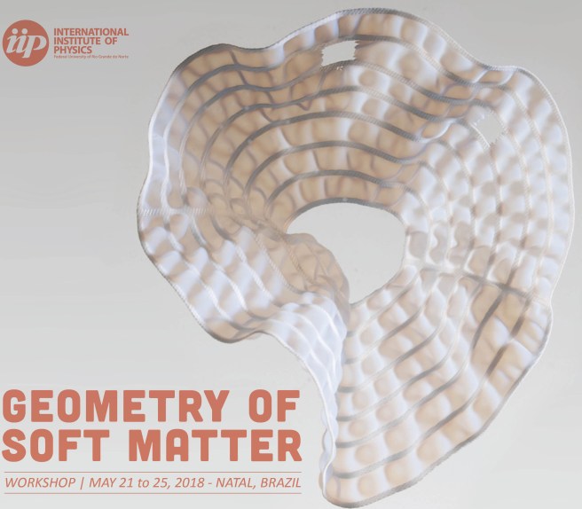 Brazil - geometry of soft matter poster