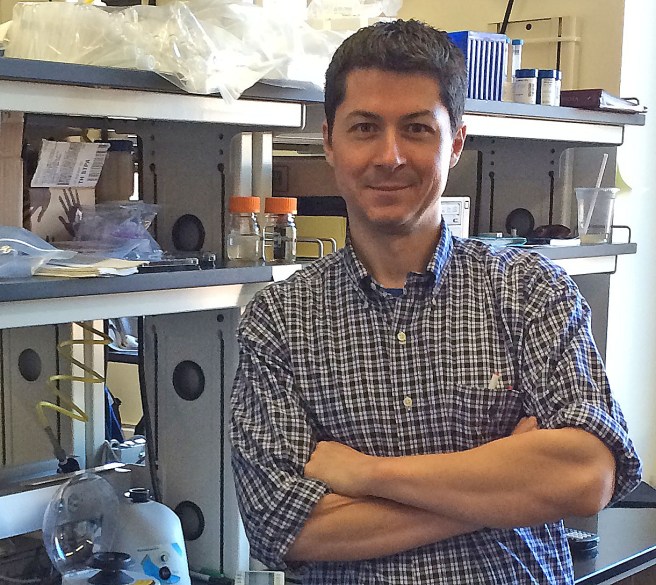 Vincent Noireaux - crop